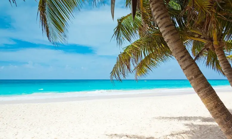 Rêve de Plage : Signification et Interprétation