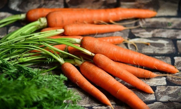 Signification rêver de carottes